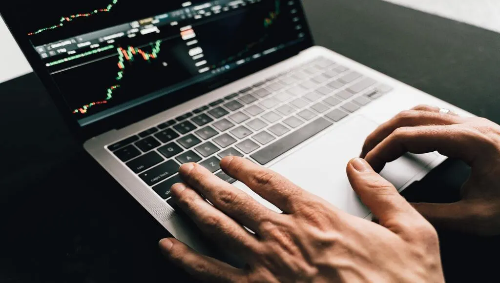 Investment Portfolio and National Digital Investment Window